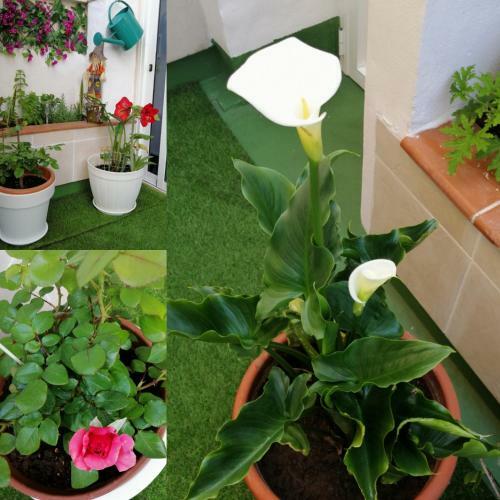 Apartamento Con Encanto En Puerto de La Cruz