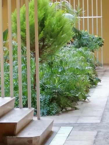 Apartamento Con Encanto En Puerto de La Cruz