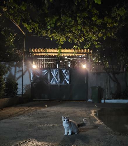 Villa Unique Traditional House, Hosted By J&g