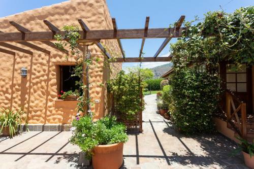 Casa Strelizia