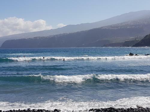 C�ntrico Apartamento Cerca De La Playa