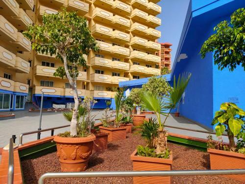 Apartamento Teneguia Puerto de La Cruz
