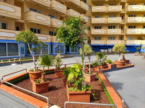 Apartamento Teneguia Puerto de La Cruz