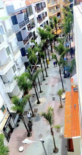 Apartamento Estudio Muy Cerca De La Playa.