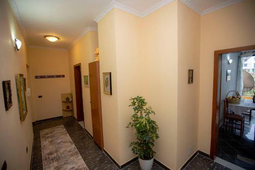 Apartamento Vila Shaba