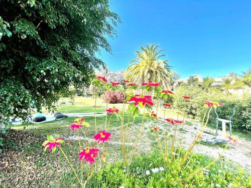 Apartamento Single Studio E With Wifi, Balcony, Swimming Pools