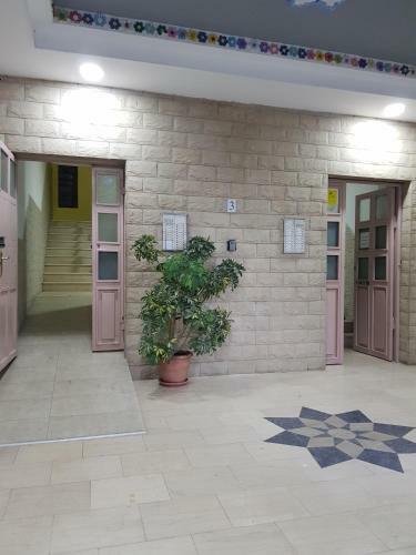 Apartamento Arli's House Between The Centre And New Pazar