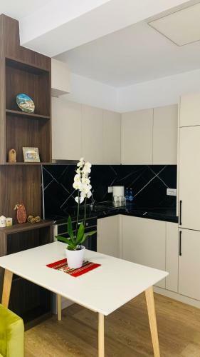 Proper Central Apartment
