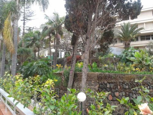 Tranquilo Apartamento Puerto De La Cruz
