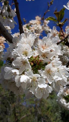 Apartamento Despertar En Riglos