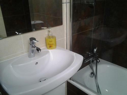 Apartamento Atico En Ribes De Freser