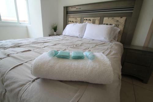 Boutique Apartment Downtown 707 Two Bedrooms
