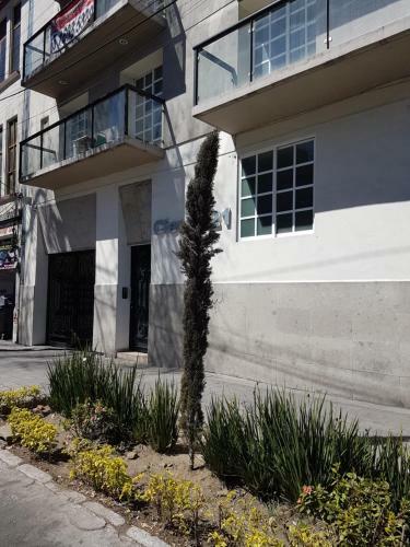 Mexico City Apartment Near Reforma