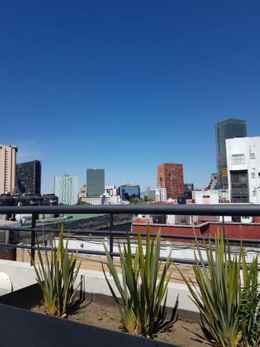 Mexico City Apartment Near Reforma