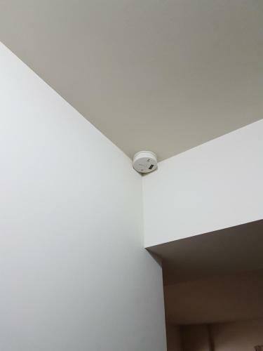 Mexico City Apartment Near Reforma