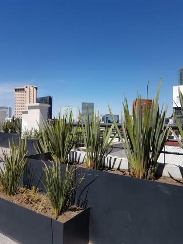 Mexico City Apartment Near Reforma