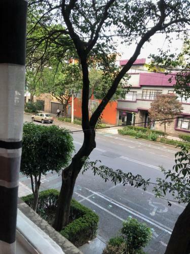 Apartamento Cdmx - Great Location At Napoles