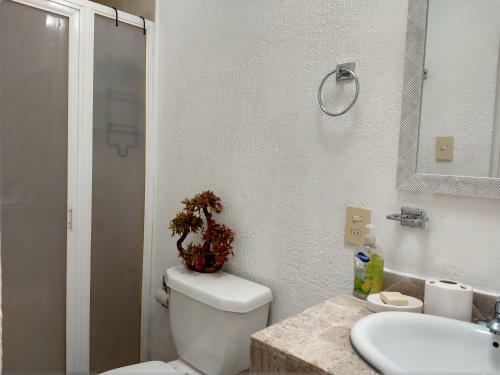 Bed & Breakfast Residence Las Trojes Cdmx