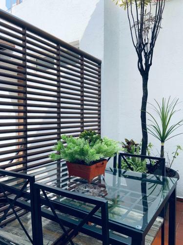 Bed & Breakfast Residence Las Trojes Cdmx