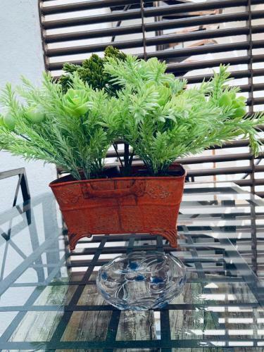Bed & Breakfast Residence Las Trojes Cdmx
