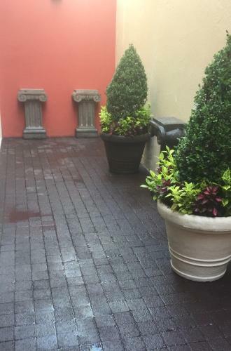 Bed & Breakfast Residence Las Trojes Cdmx