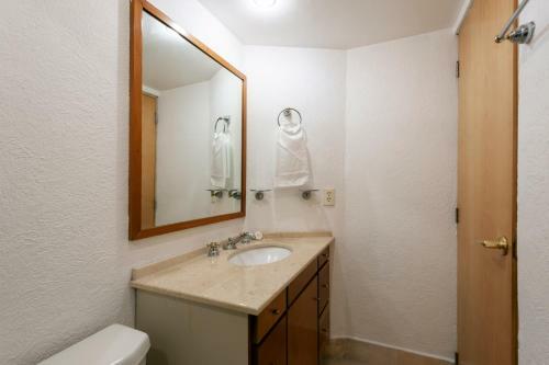 Lovely Apartment Ahuehuetes