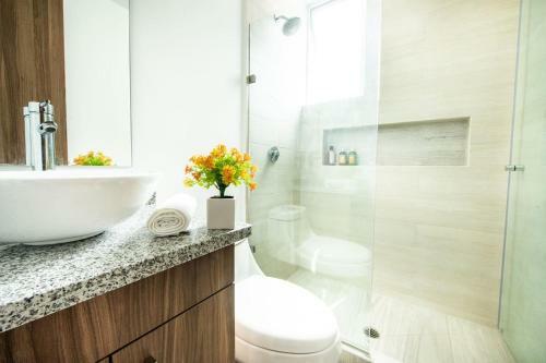 Bright Stylish Apartment Near Polanco