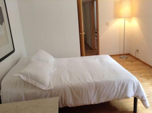Beautiful Apartment Ahuehuetes