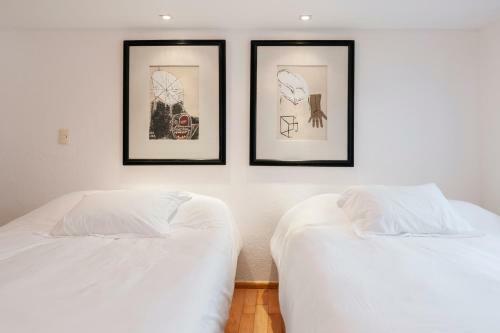 Beautiful Apartment Ahuehuetes