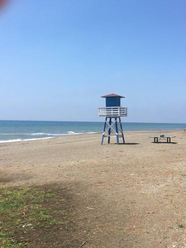 Apartamento �tico A 50 Metros De La Playa Will