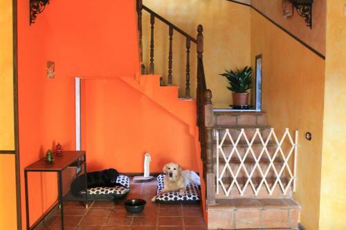Casa Rural Baobab