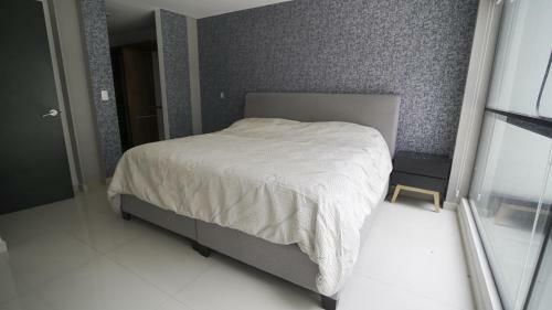Apartamento 2 Bedroom Garden House Polanco