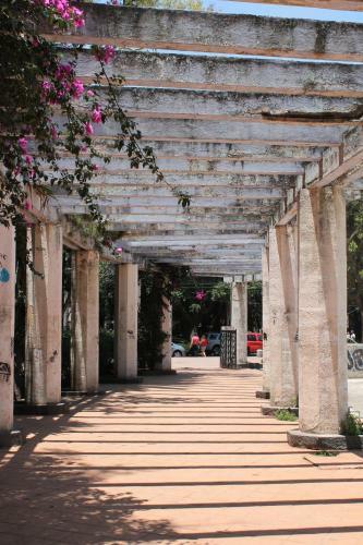 Condesa Df Luxury Apartment