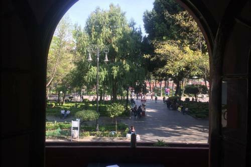 Apartamento Iconico Loft En El Corazon De Coyoacan