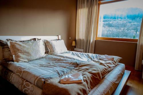 Villa Luxury Houses In Dobrinishte