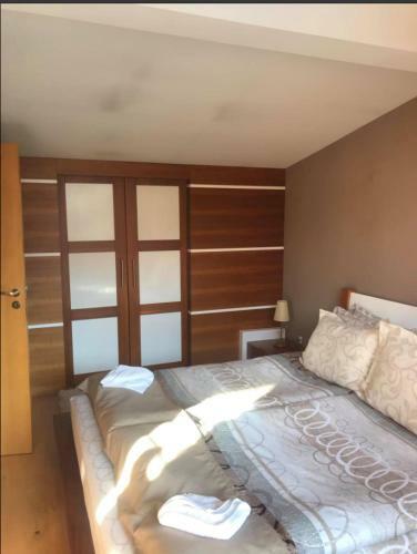 Villa Luxury Houses In Dobrinishte