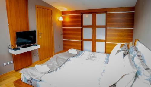 Villa Luxury Houses In Dobrinishte