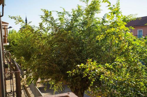 Alojaguay Rueda, Casa Museo R�stica-moderna, M�xima Tranquilidad Con Comodidad