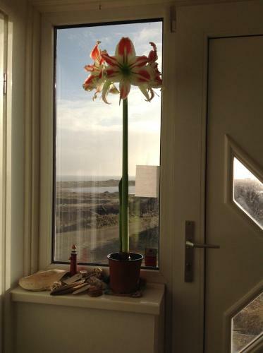 Bed & Breakfast Thuis Bij Frans En Els