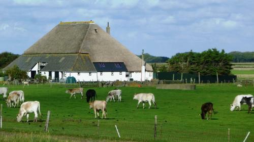 Bungalowpark 't Hoogelandt