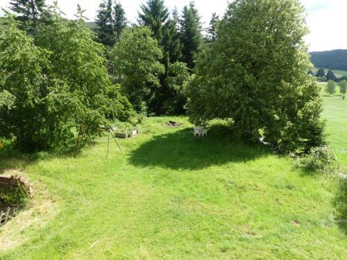 Apartamento Fewo Im Gruenen Eck 1