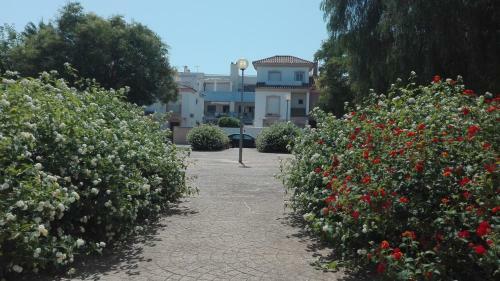 Casa Blanca