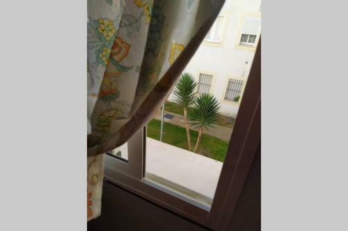 Acogedor Apartamento A 100 M. de Pinares Y Playa