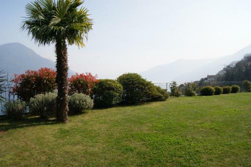 Brilago 1