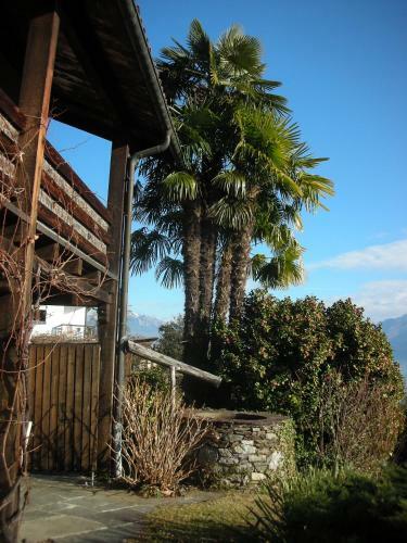 Apartamento Ferienparadies Alla Vite In Brissago