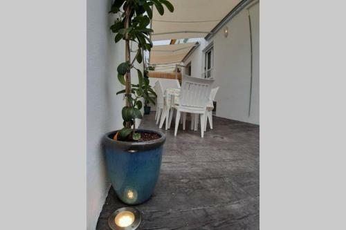 Casa De Dise�o En La Playa.
