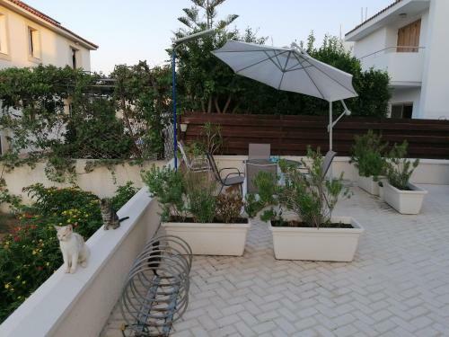 Apartamento Must Stay - Evripidou Holiday Flats