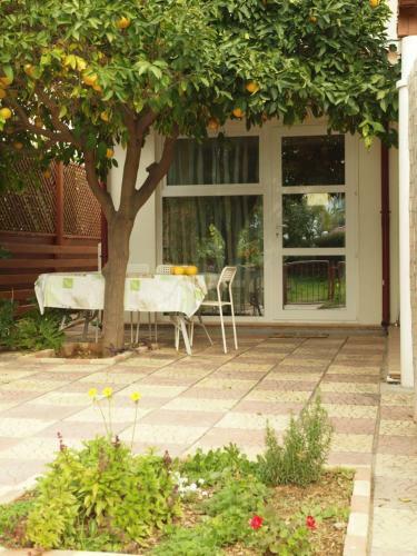 Hostal Moon-light Studio