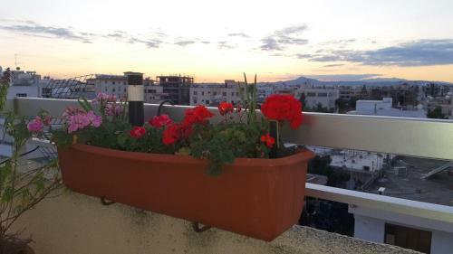 Alkaeos Holiday Rooms & Apartments