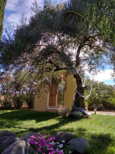 Villa Andalusian Experience